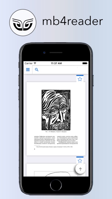 mb4reader для ПК 1