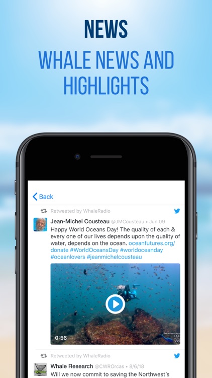 Whale Radio screenshot-5