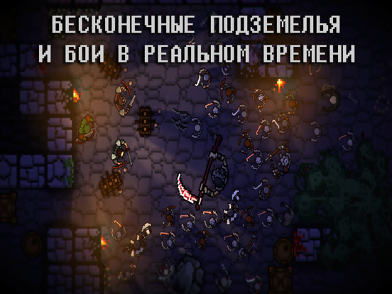 Pocket Rogues: Ultimate на iPad