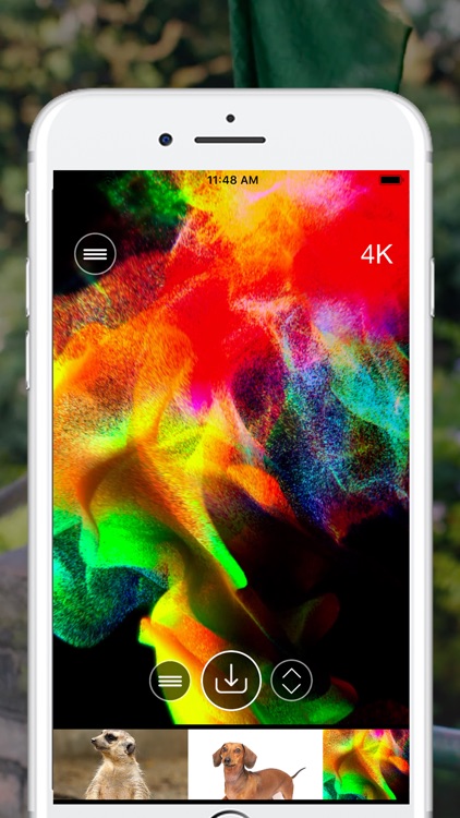 4K Retina Live Wallpapers