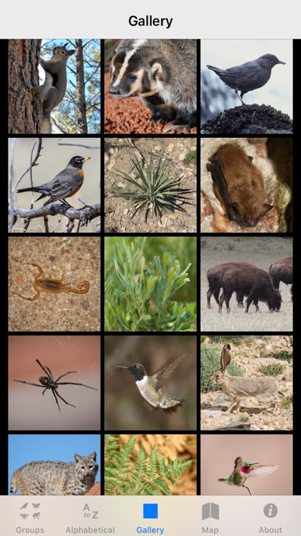 Grand Canyon NP Field Guide