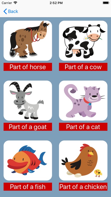 Animal body parts in English