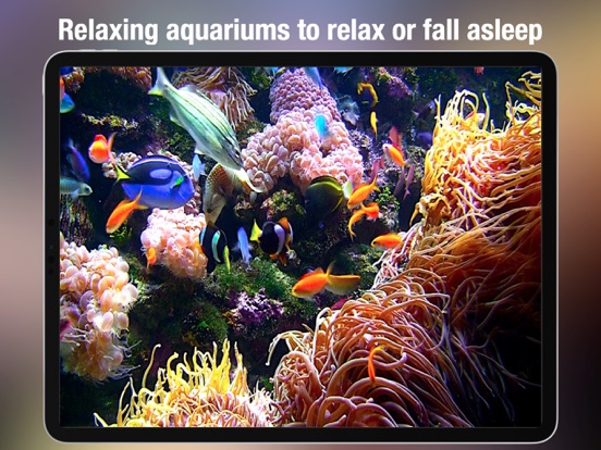 Aquarium - HD screenshot