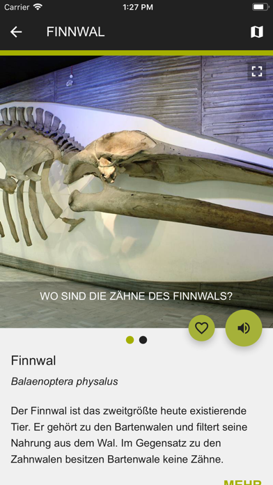 How to cancel & delete Senckenberg Naturmuseum from iphone & ipad 3