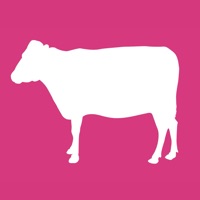 Düvee pour PC
