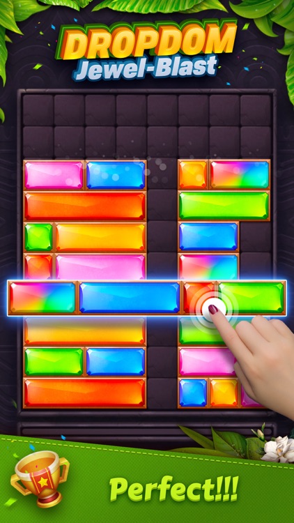 Dropdom™ Puzzle Block Jewel