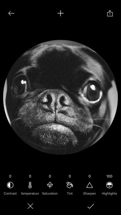 Fish Eye Cam - for Tik Tok