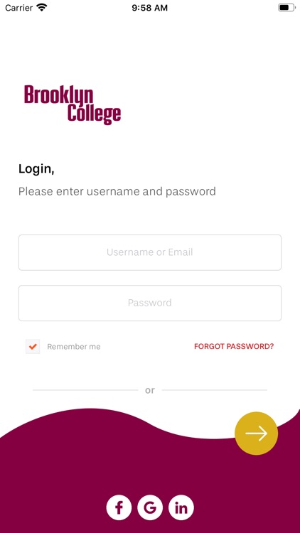 Brooklyn College  BLMI