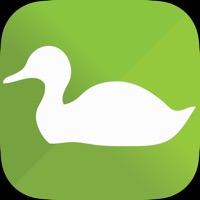 Call Bird pour PC