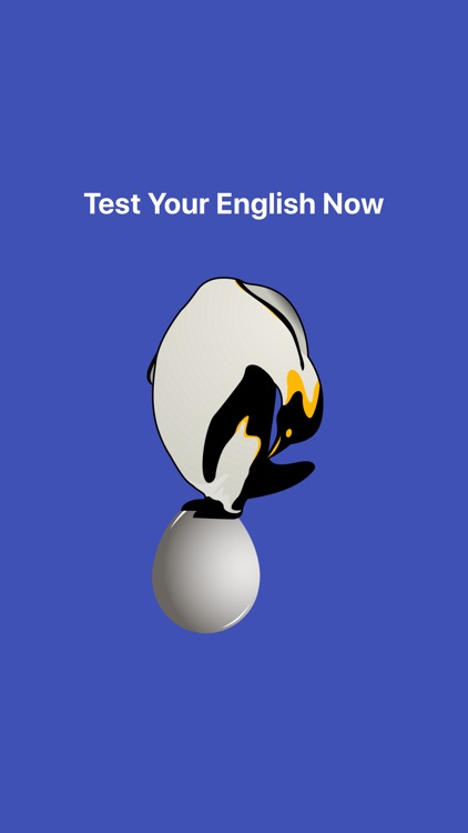 Test Your English Now