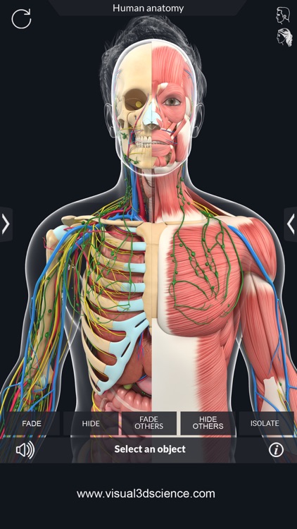 AR Human Anatomy screenshot-4