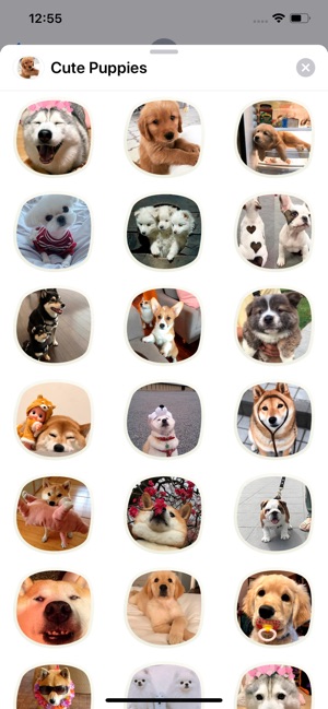 Cute Puppies Sticker Pack