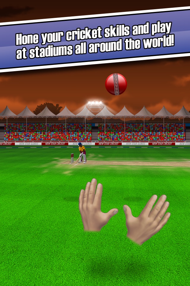 New Star Cricket screenshot 4