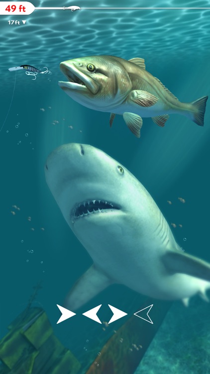 Rapala Fishing - Daily Catch