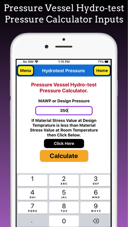 Hydro Test Pressure Pro screenshot-3