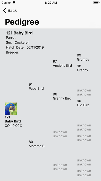 birdBreeder screenshot 3