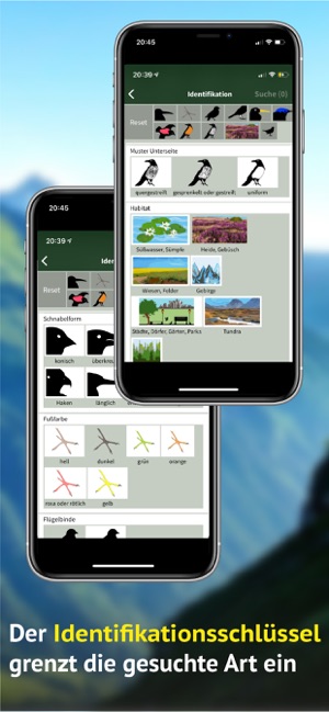 Alle Vögel Schweiz - Fotoguide(圖9)-速報App