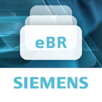 eBatch Reviewer sur PC