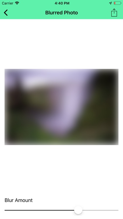 Blurred Photo screenshot-3