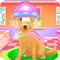 Choose a lovely experience with this caring game of ours and take your chance to help out a messy dog