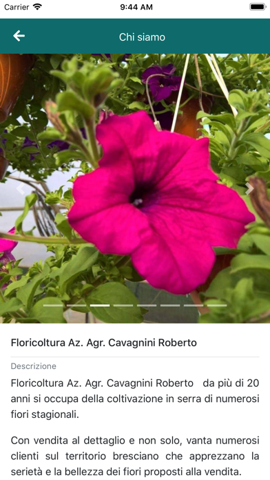 Floricoltura Cavagnini screenshot 4