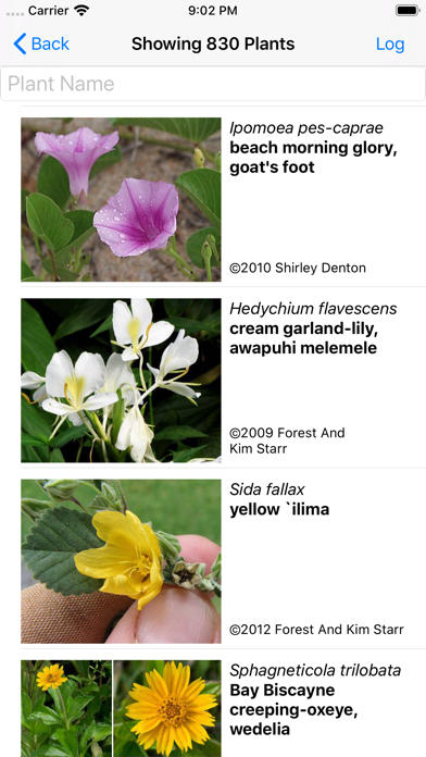 Hawaii Plants screenshot 3