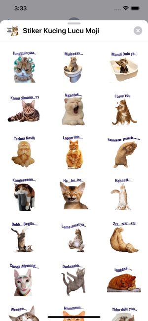 Stiker Kucing Lucu Moji(圖2)-速報App