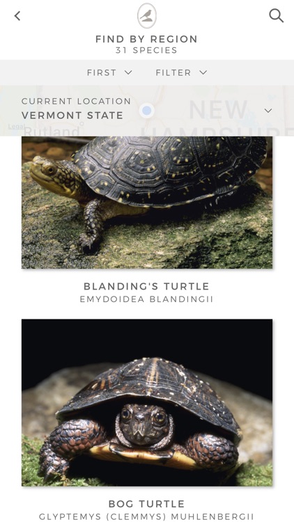 Fieldstone Guide: Reptiles screenshot-3