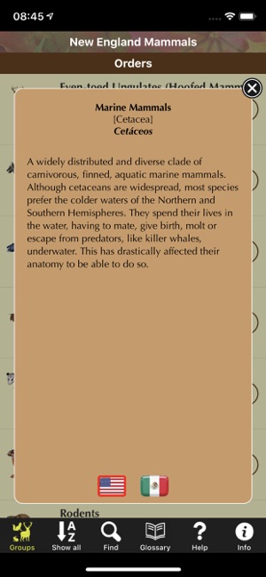 New England Mammals(圖4)-速報App