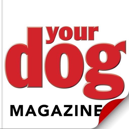 Your Dog