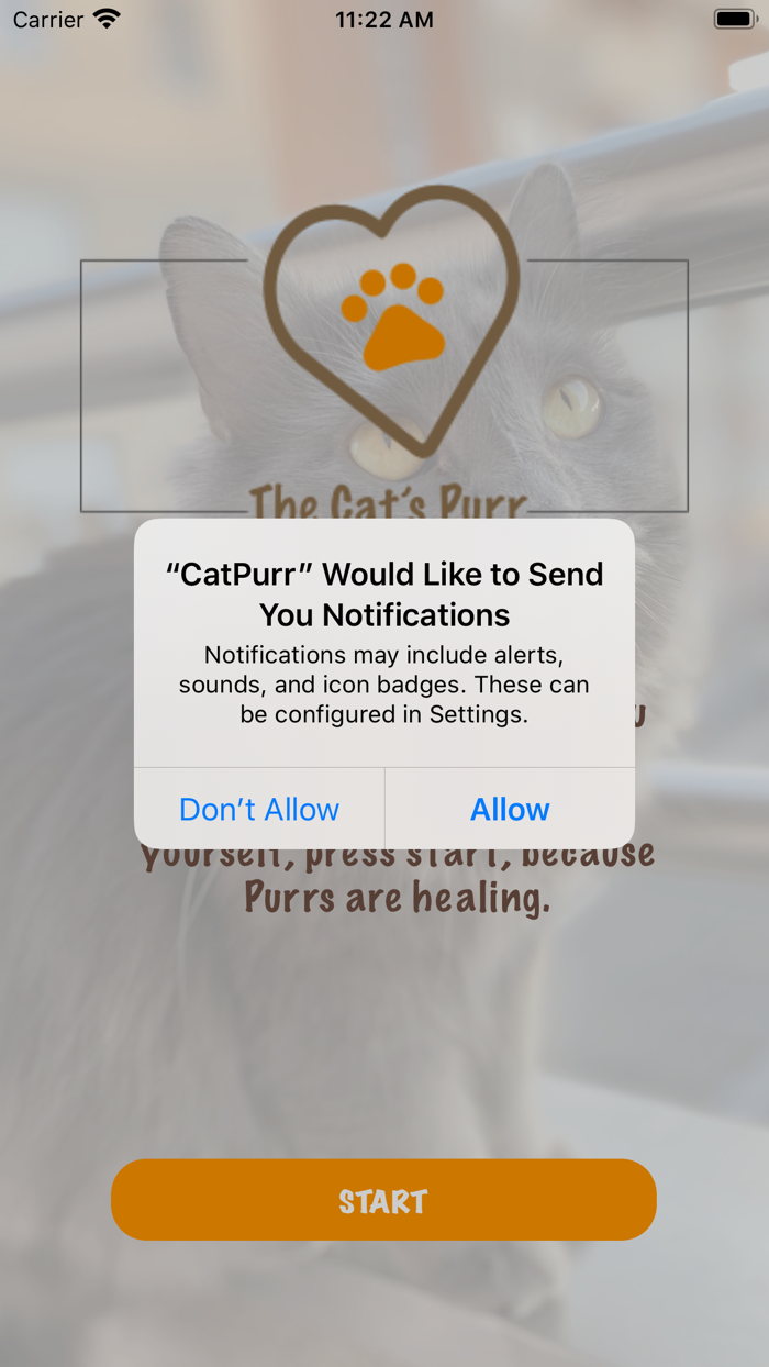 The Cats Purr