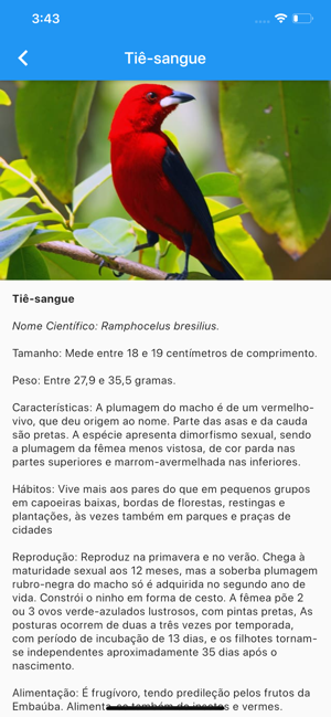 Eco-aves - Biologia(圖3)-速報App