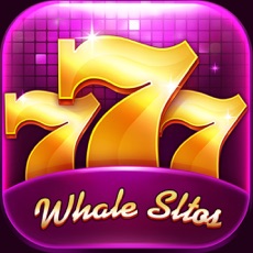 Activities of Whale Slot