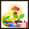 Plants,Trees N Flowers