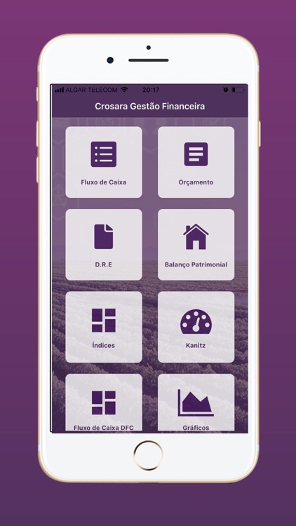 Crosara Gestão Financeira