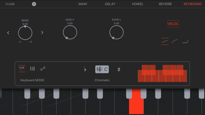 Accordion Vintage screenshot1