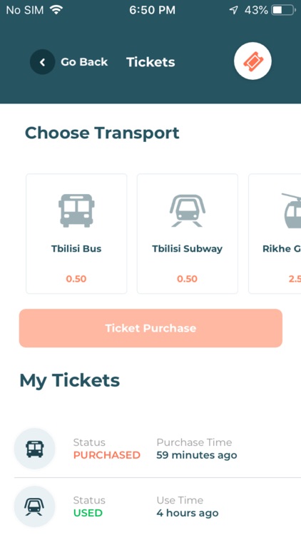Tbilisi Transport screenshot-5