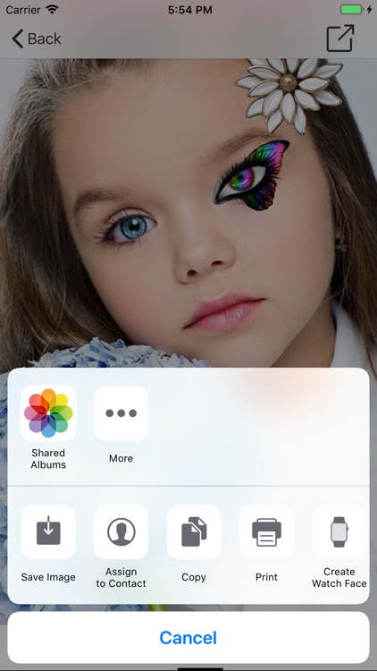 DYI Dress Up screenshot-4