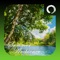 Bring the ambience of picturesque summer scenes right onto your TV, Tablet / Phone, complete with animated colorful butterflies, dragon flies and bumble bees and soothing relaxing summer ambient sound