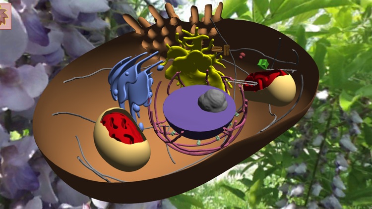 Bioanim Complete screenshot-5