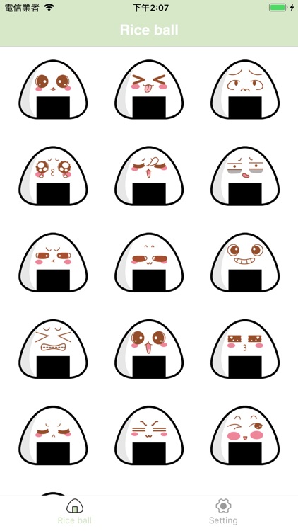 Rice ball