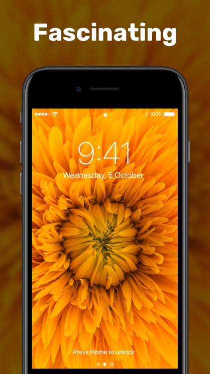 Live Wallpapers & Video Maker screenshot-9