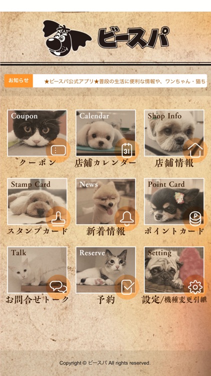 ペットサロン「ビースパ」