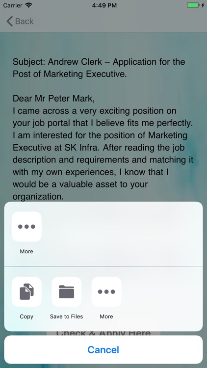 The Job Easy screenshot-8