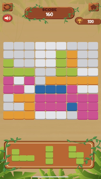 Woodoku Block Puzzle Premium screenshot-3