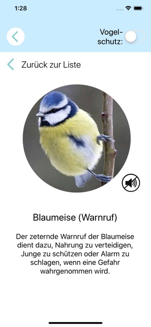 Zwitschomat - Vogelstimmen ID(圖6)-速報App