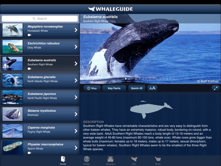 WhaleGuide for iPad