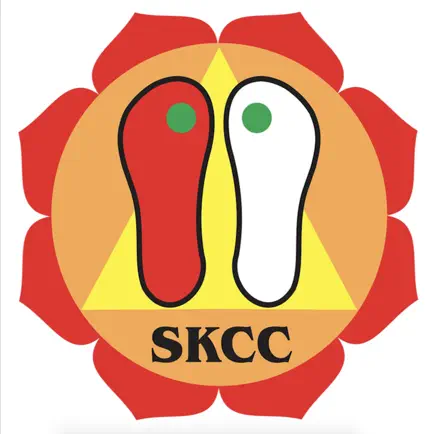 SKCC Читы