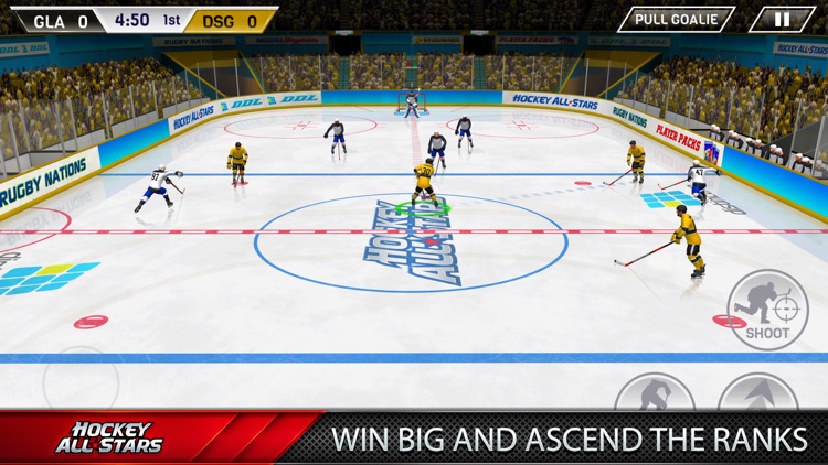 Hockey All Stars