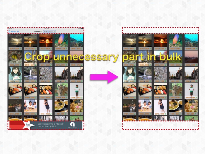 BatchCropper